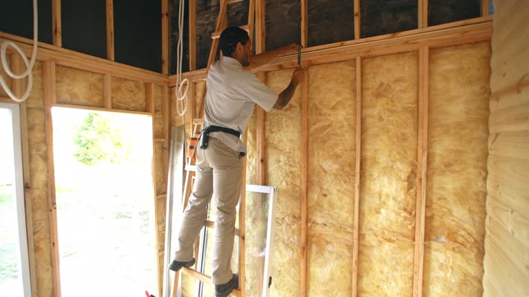 Best Soundproof Insulation  in Grabill, IN