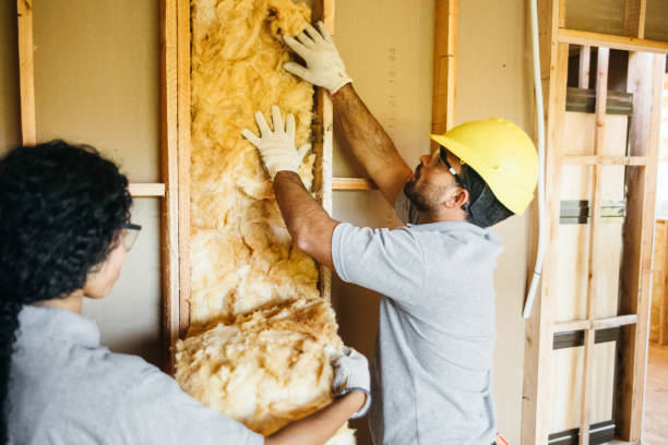 Best Eco-Friendly or Green Insulation Solutions  in Grabill, IN